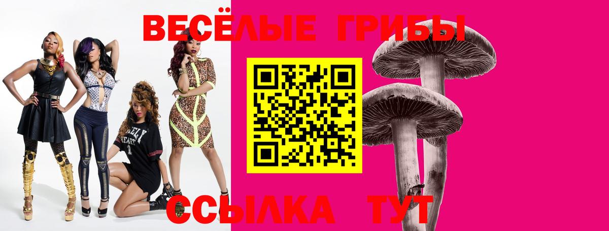 Псилоцибиновые грибы MAGIC MUSHROOMS  Галлюциногенные грибы GOLDEN TEACHER  Вход с VPN  Бутурлиновка 